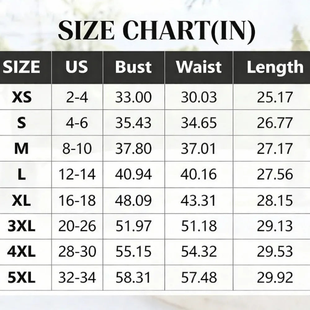 Women's Top Stripe Scalloped Trim Round Neck T Shirt