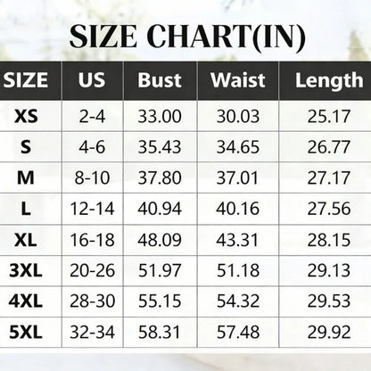 Women's Top Stripe Scalloped Trim Round Neck T Shirt